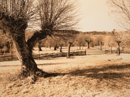 Landscapes &raquo; Cultural landscapes